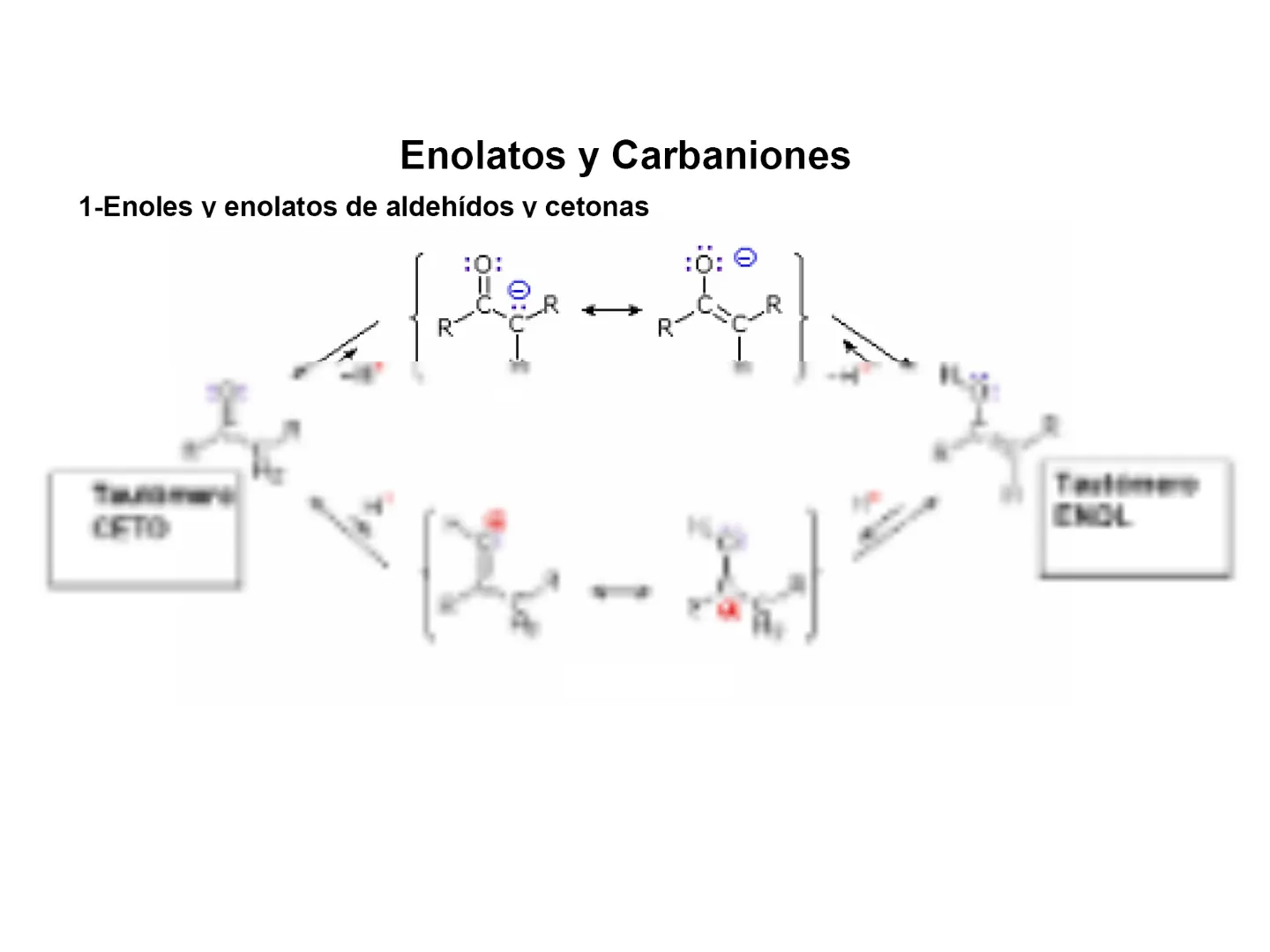 REACTIVIDAD EN C-α Y CARBONILICOS α,β-INSATURADOS.pdf - 1000036-B | Los ...