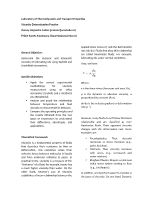 informe viscosidad (1).docx