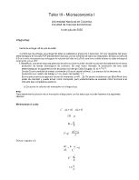 Taller III Micro I.docx