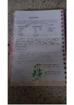 Agua y nutrientes marco teorico.pdf