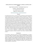 INFORME COMPLETO PRÁCTICA #4 CORREGIDO.pdf