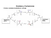 REACTIVIDAD EN C-α Y CARBONILICOS α,β-INSATURADOS.pdf