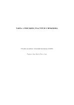 Tarea 1 - Química.docx