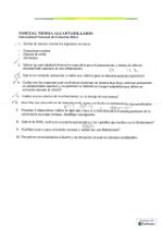 Parcial teórico 3.pdf