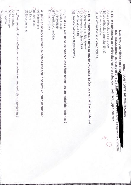 Quiz Transporte de Membranas