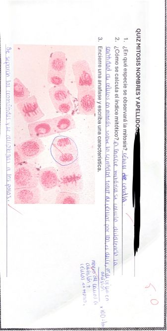 Quiz Mitosis Biología