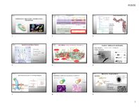 Clases 3-4 BioCEL. Estuctura celular y orgánulos (2).pdf
