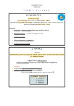  C O N S T I  T  U  C  I  O   N  A  L 1 - Cataño.pdf