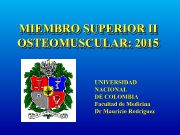 MIEMBRO SUPERIOR 2 NEUROMORFO2015-1.ppt
