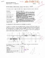 Parcial 2 Biología Molecular 2022-1 resuelto