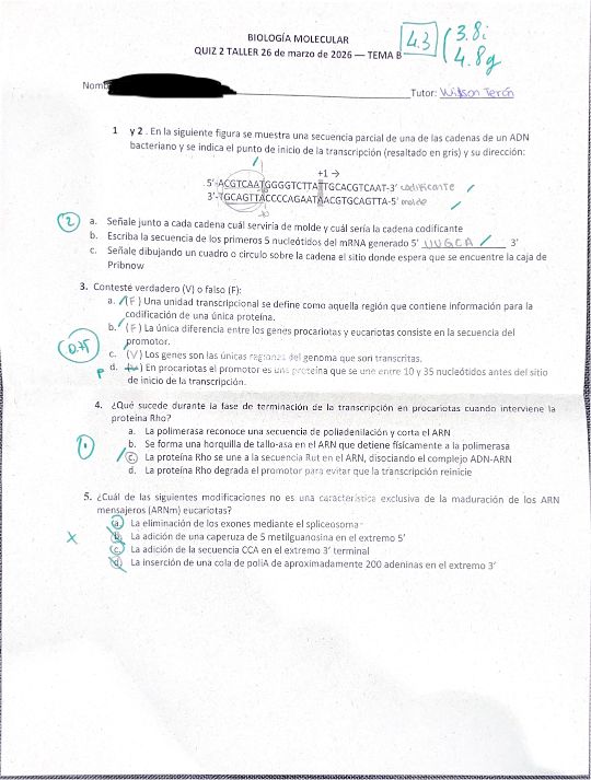 Quiz 2 Biología Molecular 2026-1 Tema B