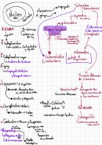 Estudio parcial biologia Nubia Matta