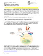 TALLER09_Biologia_Senalizacion.docx
