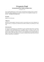 Lineamentos proyecto final PC-2024-1.pdf