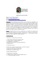 programa de macroeconomía I 2025-II UN.doc
