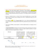 Pautas para el ensayo argumentativo_ESPAÑOL Y COMUNICACIÓN.pdf